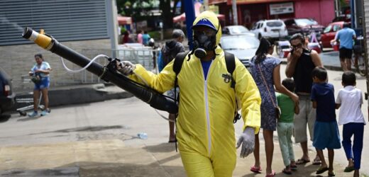 Brazilia: Rio de Janeiro, in stare de urgenta din cauza unei epidemii de febra dengue, in apropierea Carnavalului