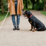 Revolutie medicala: Un microcip de 2 mm reda vederea orbilor