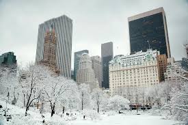 In mijlocul unei furtuni de zapada, New York si Central Park s-au transformat intr-un peisaj de film de Craciun