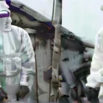 Australia: primul caz de gripă aviară la mamifer, o focă infectată
