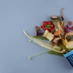 Prețurile alimentelor au atins un nou maxim din 2022, conform FAO