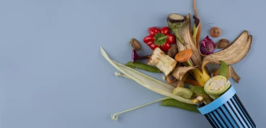 Prețurile alimentelor au atins un nou maxim din 2022, conform FAO