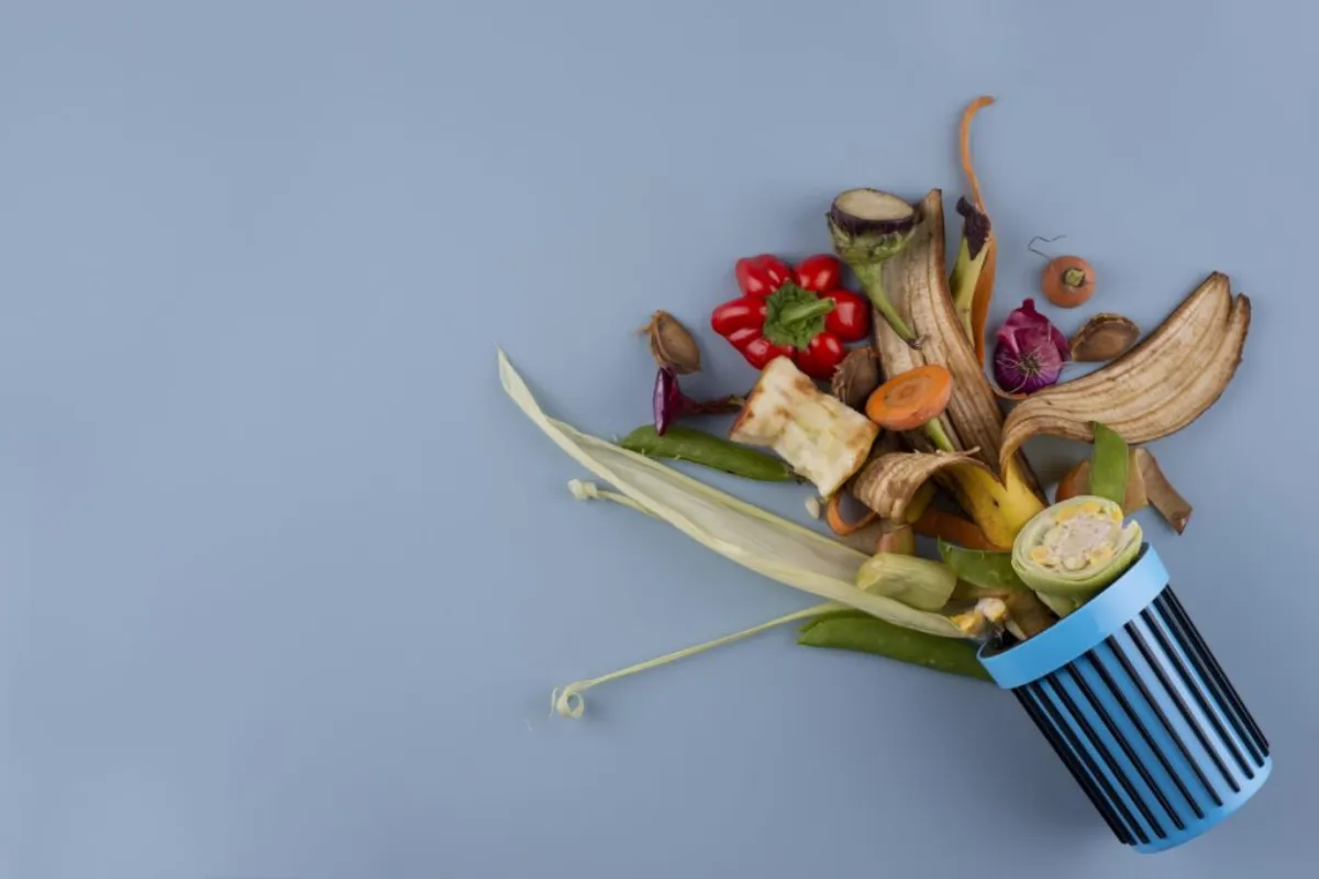 Prețurile alimentelor au atins un nou maxim din 2022, conform FAO